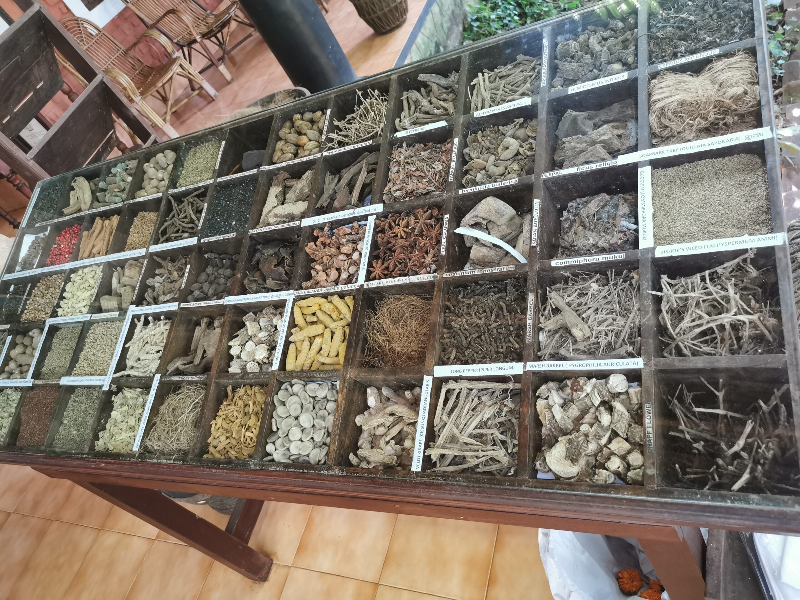 viaje de bienestar ayurveda_especias